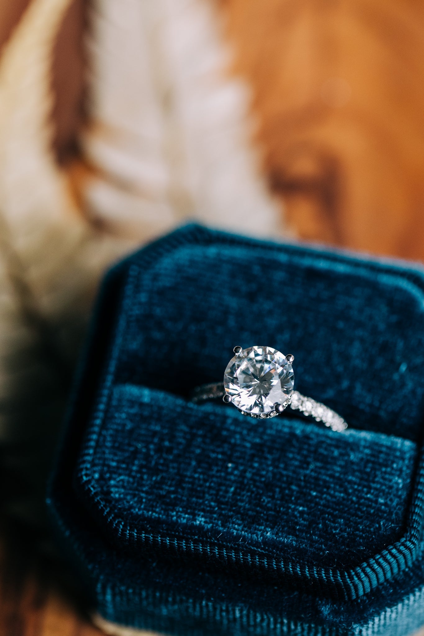 Accented Shank & Hidden Halo Semi - Mount - Oz's Jewelers by The Hickory Jewelry Company