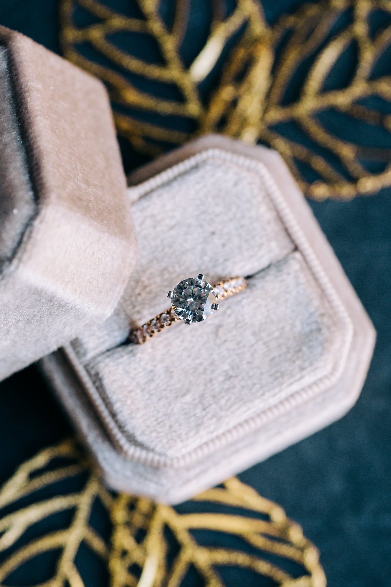 Accented Shank Semi - Mount - Oz's Jewelers by The Hickory Jewelry Company