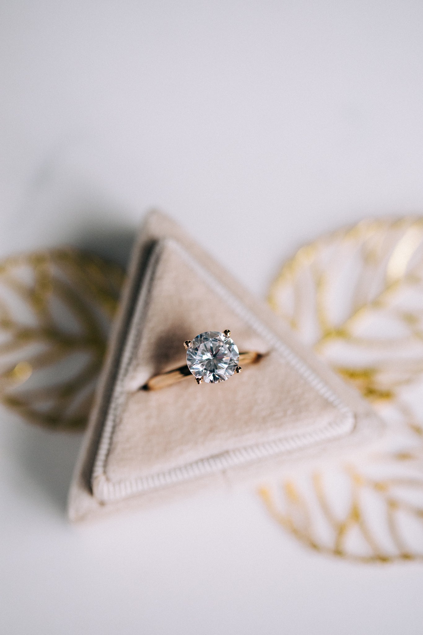 Hidden Halo Solitaire Semi - Mount - Oz's Jewelers by The Hickory Jewelry Company