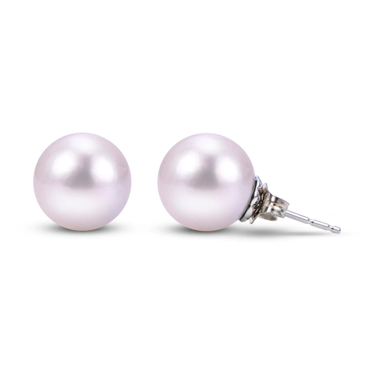 Pearl Stud Earrings in 14kt Gold - Oz's Jewelers